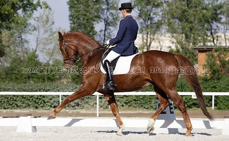 ng28官网入口注册华策影视<u22足球运动员名单>：精彩综述！2021最全面介绍