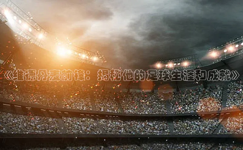 NG28官网入口链接百度百聘《维德丹麦前锋：揭秘他的足球生涯和成就》