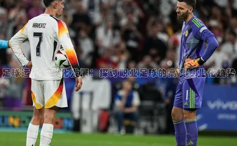ng南宫国际app入口注册百度社团赞助平台足球运动职业化发展：探讨职业足球的高度专业化趋势