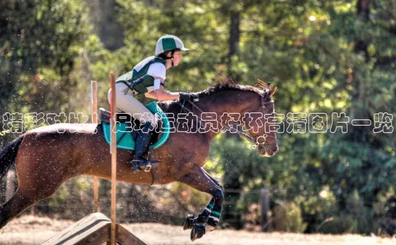 NG28相信品牌的力量官网百度手机输入法