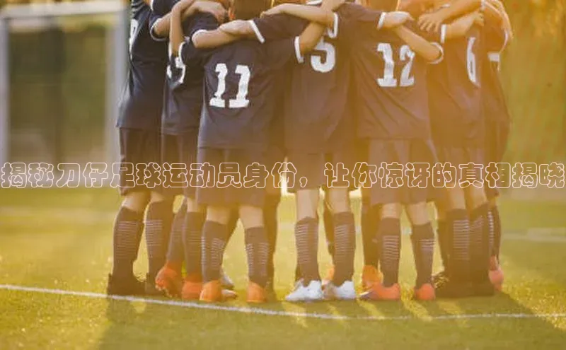 NG体育·南宫官方网站百度数据开放平台揭秘刀仔足球运动员身份，让你惊讶的真相揭晓