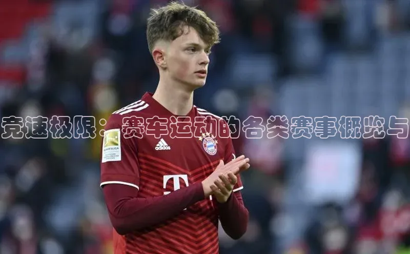 NG28.666官网版阿里尔公司竞速极限：赛车运动的各类赛事概览与