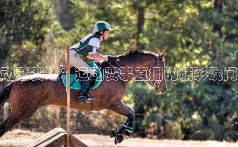 动感赛场：运动赛事直播的精彩瞬间