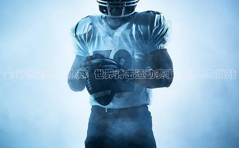 全球顶尖搏击对决：世界搏击运动赛事的魅力与挑战