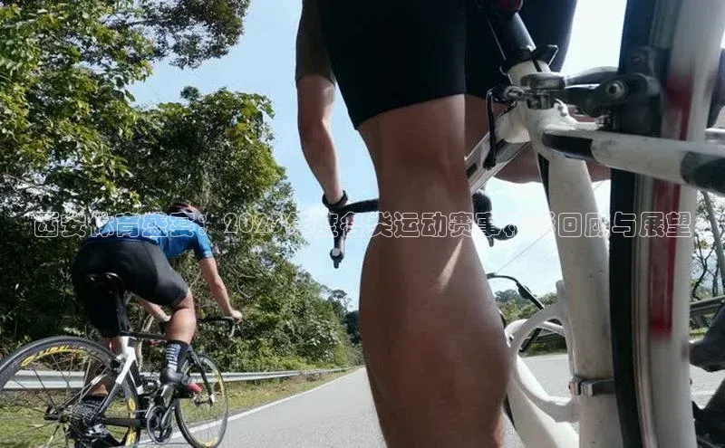 西安体育盛宴：2023年度各类运动赛事精彩回顾与展望