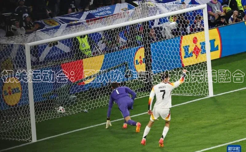 机关运动会：团队协作与竞技的完美融合