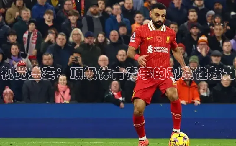视觉盛宴：顶级体育赛事的观赏性魅力