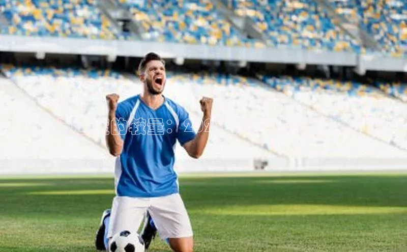 力量与速度的较量：2023年运动赛事强度分析