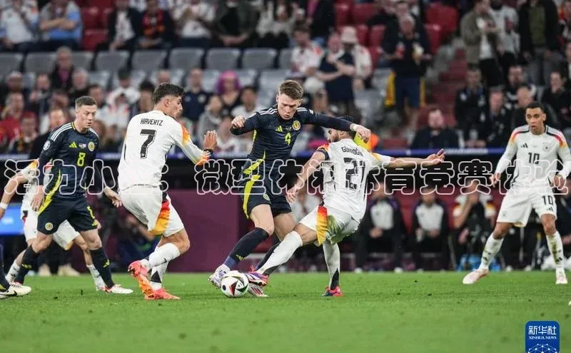 ng28官网入口下载