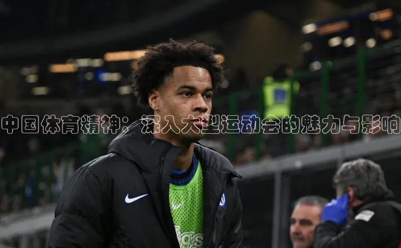 中国体育精神：深入大型运动会的魅力与影响
