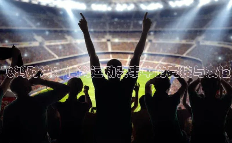 飞鸿对决：信鸽运动赛事中的竞技与友谊